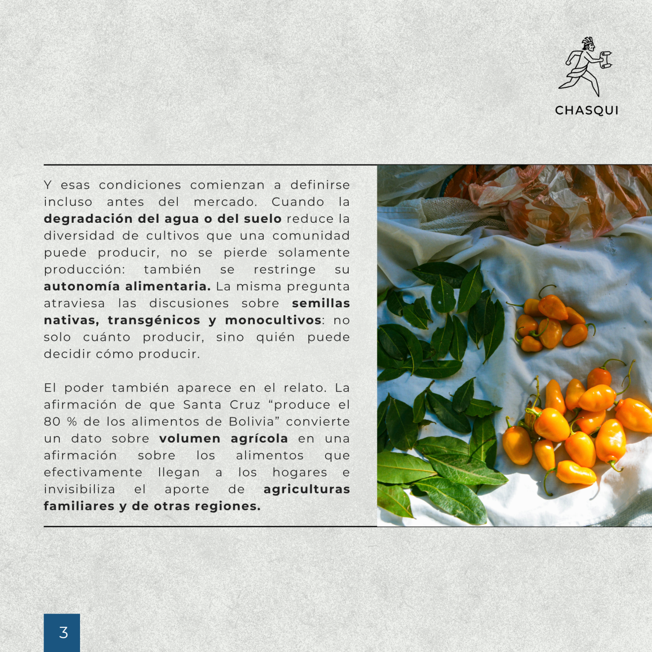 Desarrollo (3)