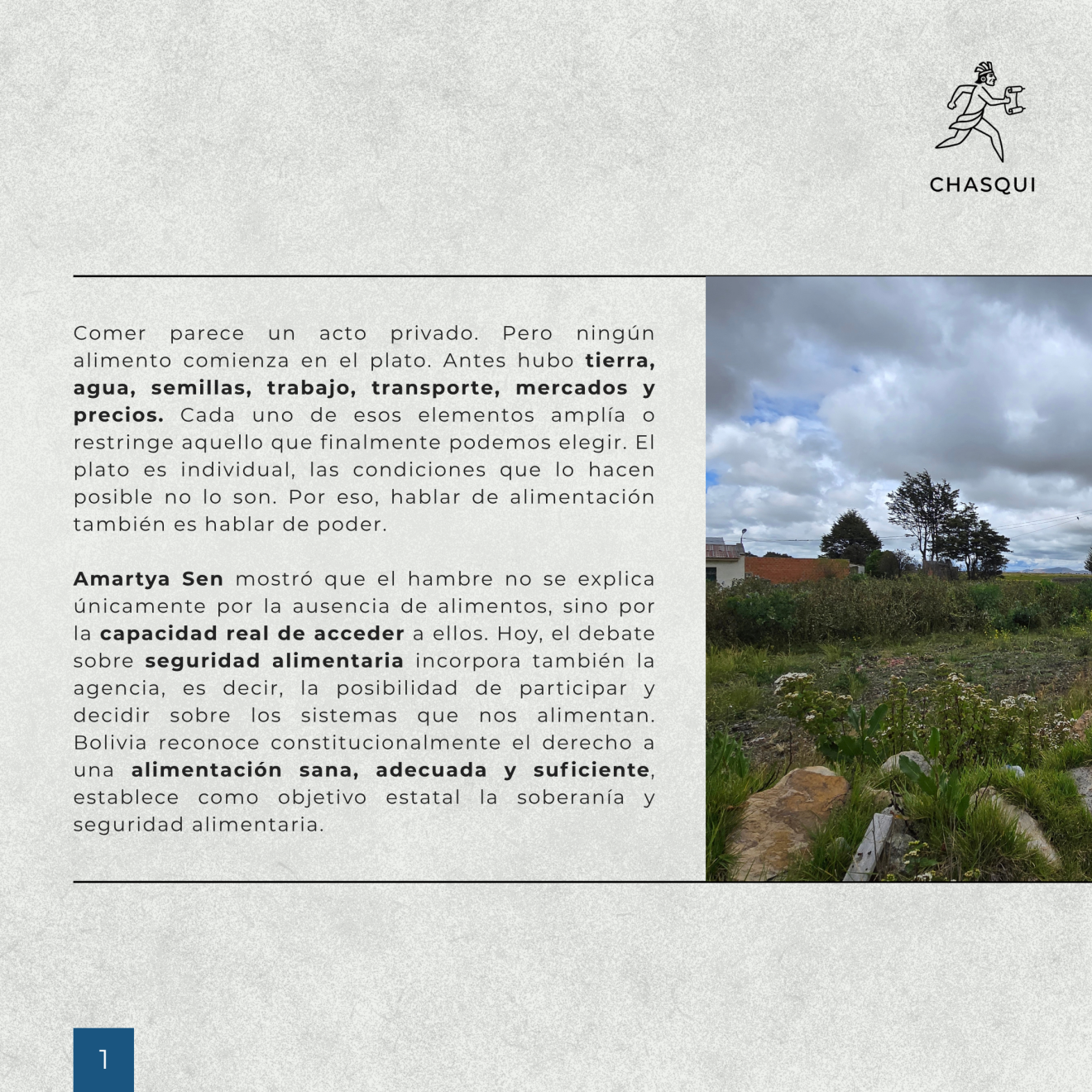 Desarrollo